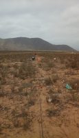 20161027_150538
